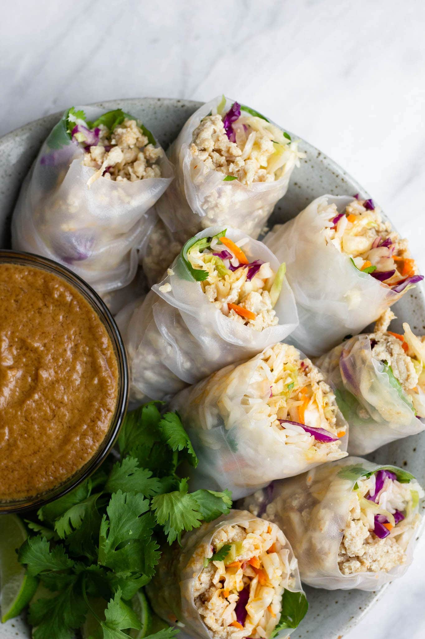 vietnamese chicken spring rolls