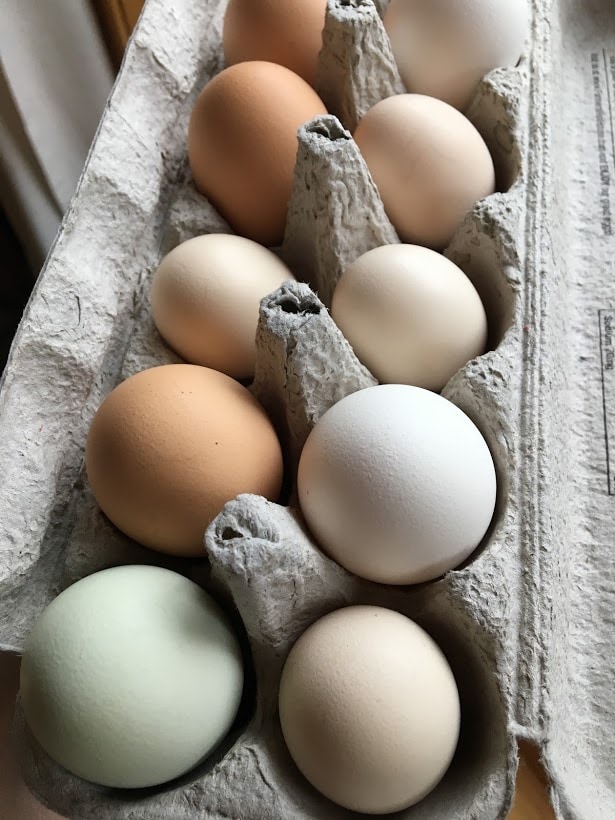 How to Tell if You Have a Rotten Egg - The Happy Housewife™ :: Cooking