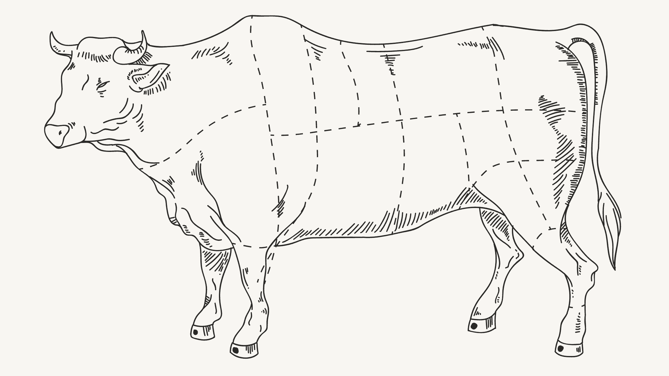A diagram of a cow segmented to highlight the different cuts of meat