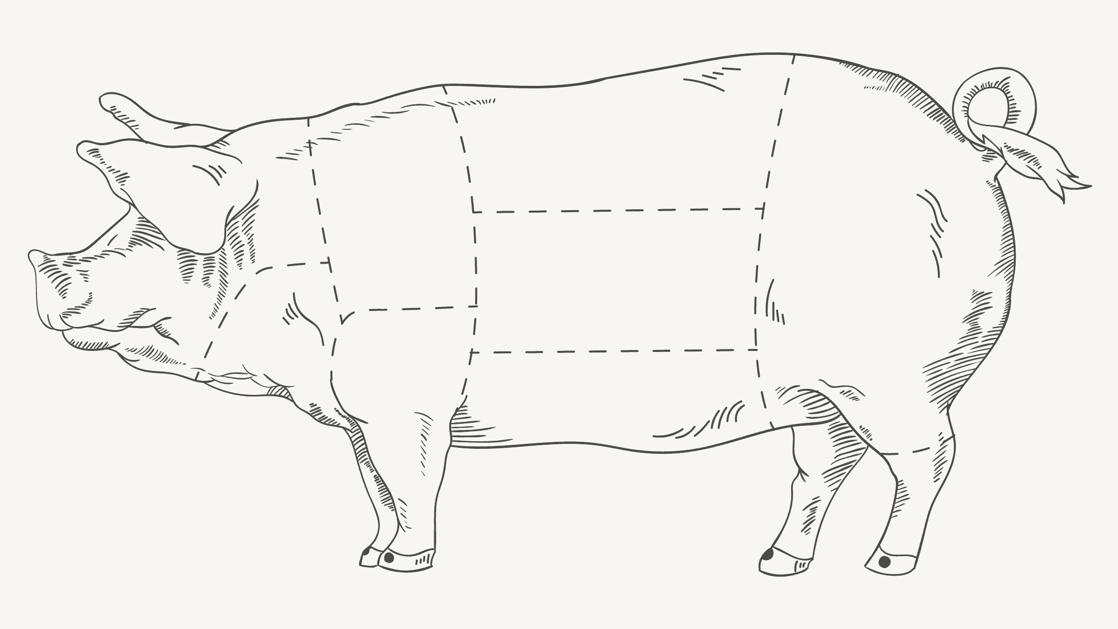 Pork Cuts Diagram Printable