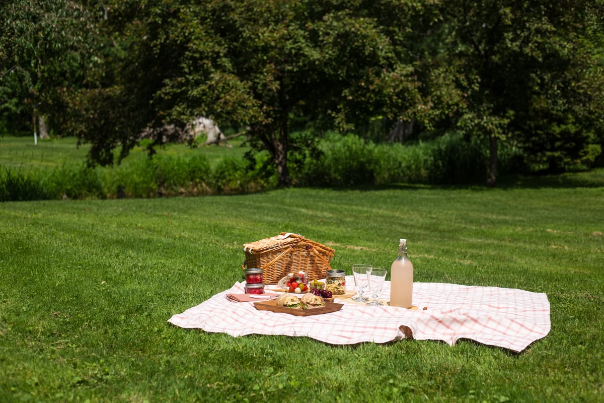 A picnic blanket set in grass topped with a picnic basket, sandwiches, and dishes in mason jars